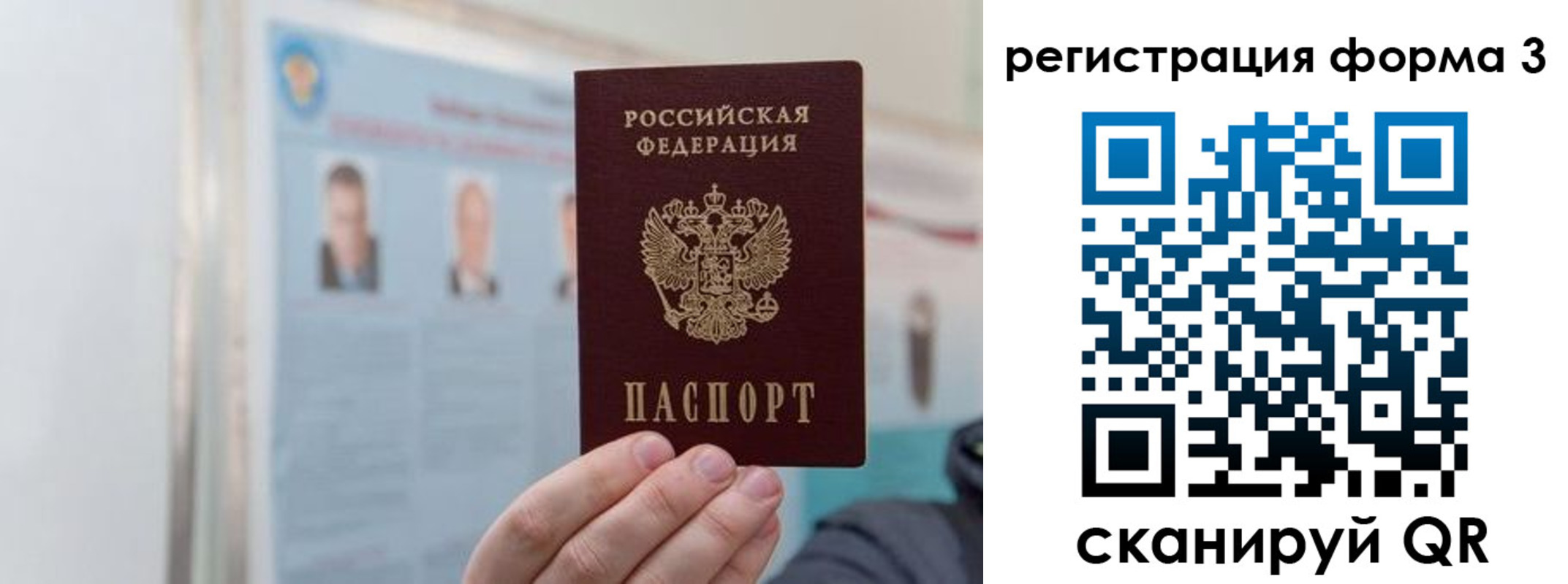 прописка в Коле