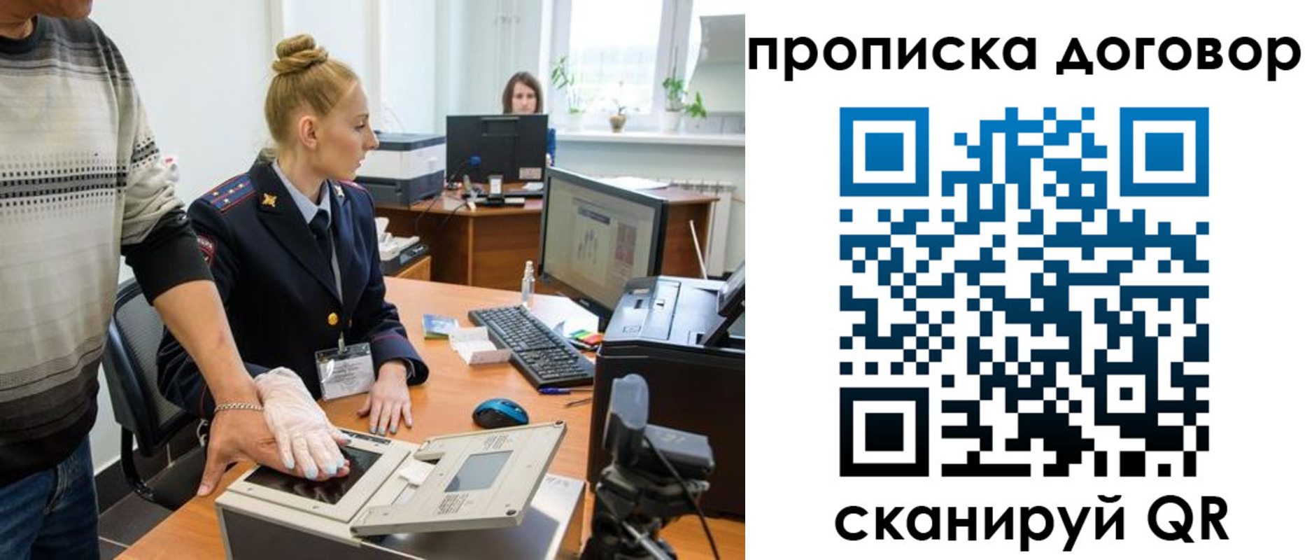 где прописаться в Коле
